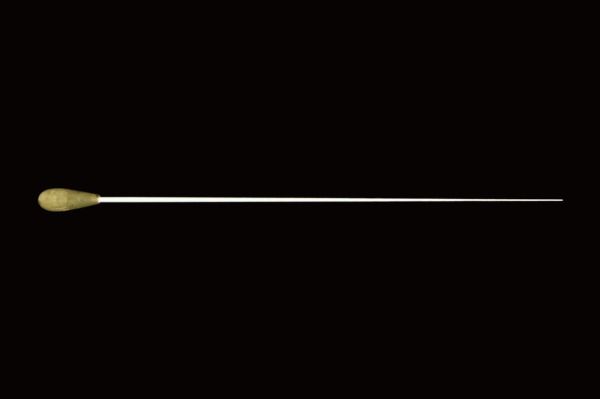 baguette RN.2008.313